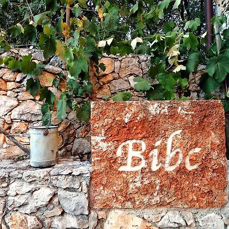 Bibc Wine & Holiday Triëst Buitenkant foto